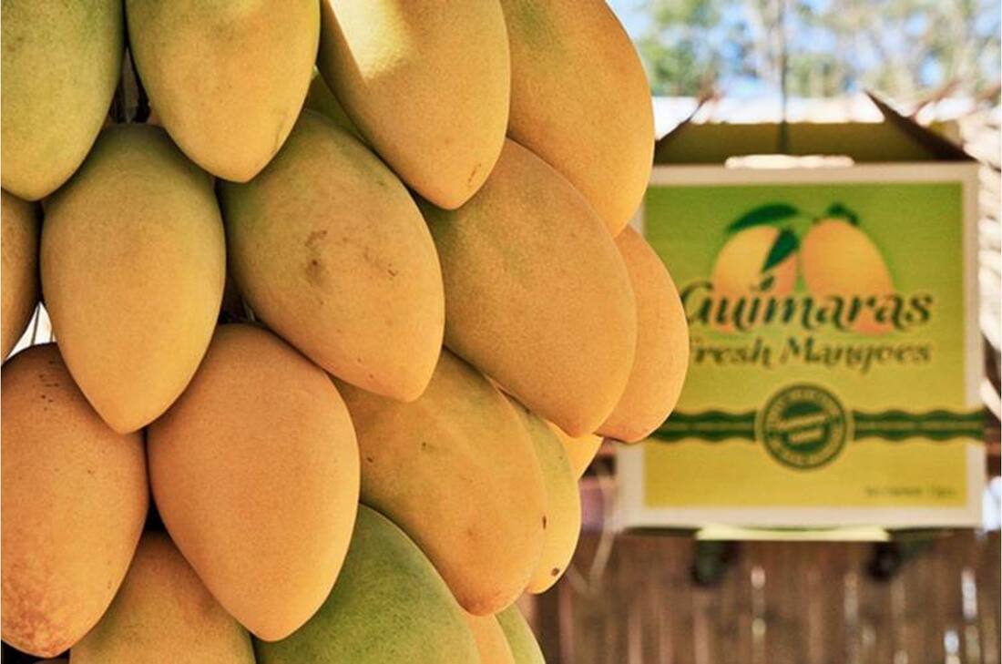 Carabao mango