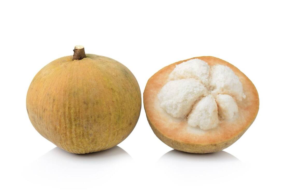 Santol